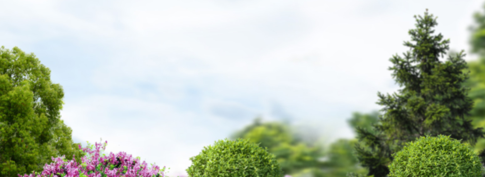 sadovniki-kz-Garden-care-Almaty